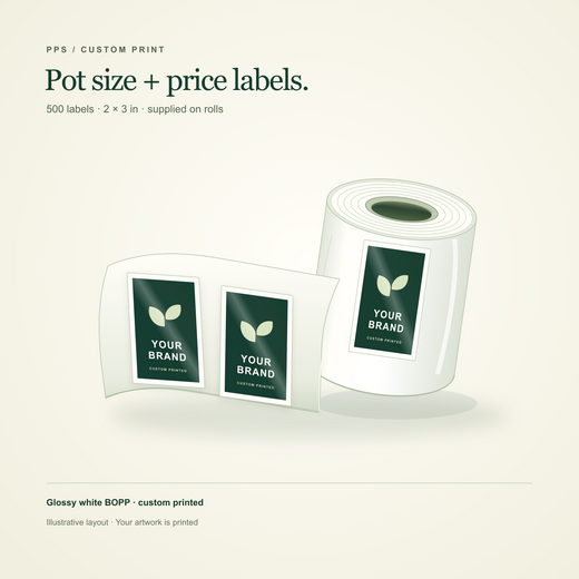 Illustration of rectangular custom labels on a roll: 500 labels, 2 × 3 inches, glossy white BOPP. Sample layout; your artwork is printed.